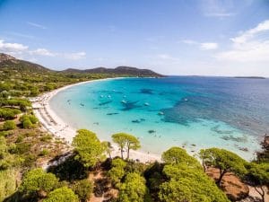 Palombaggia beach with white sand, umbrella pines and turquoise water